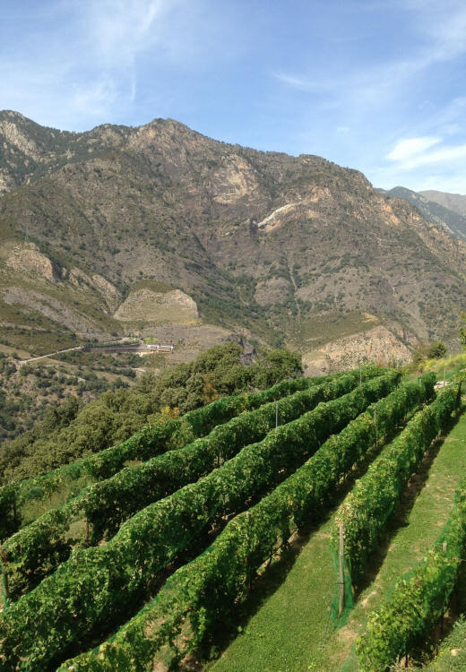 auvinyà, Andorre sant julia de loria